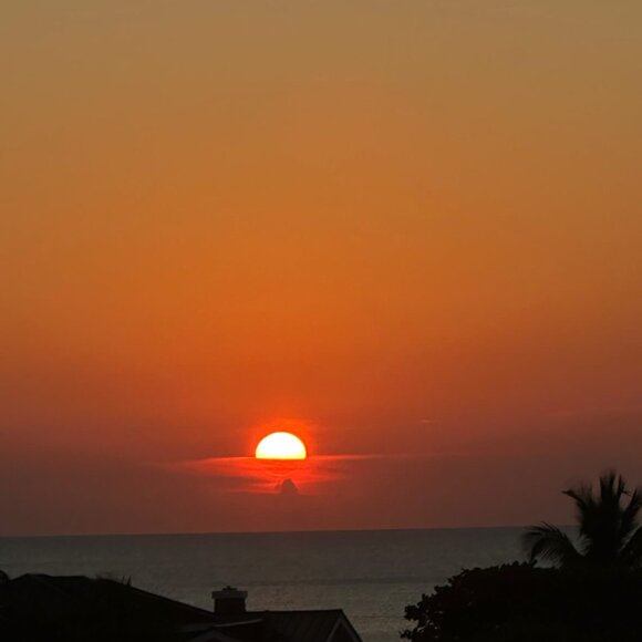 Meet your Posher, Catalina - Picture 1 of 1